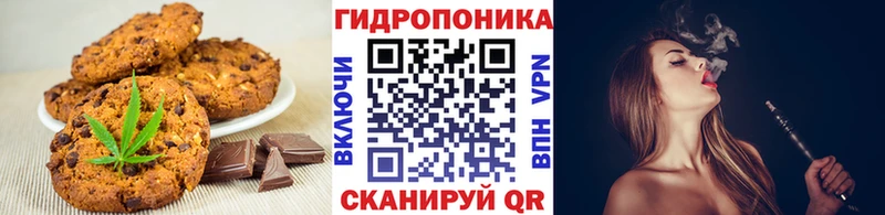 дарнет шоп  Фролово  Canna-Cookies марихуана 