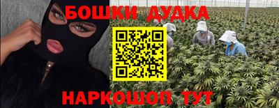 прущие грибы Новозыбков